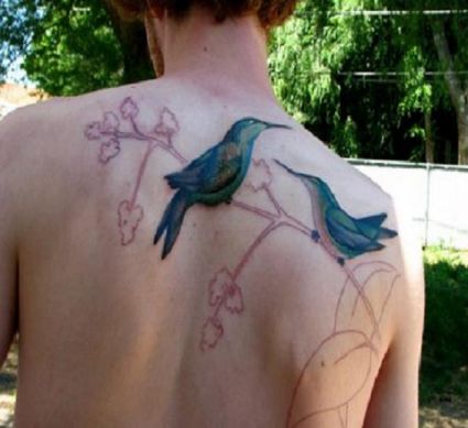 Hummingbird Pic Tattoo On Back Of Man